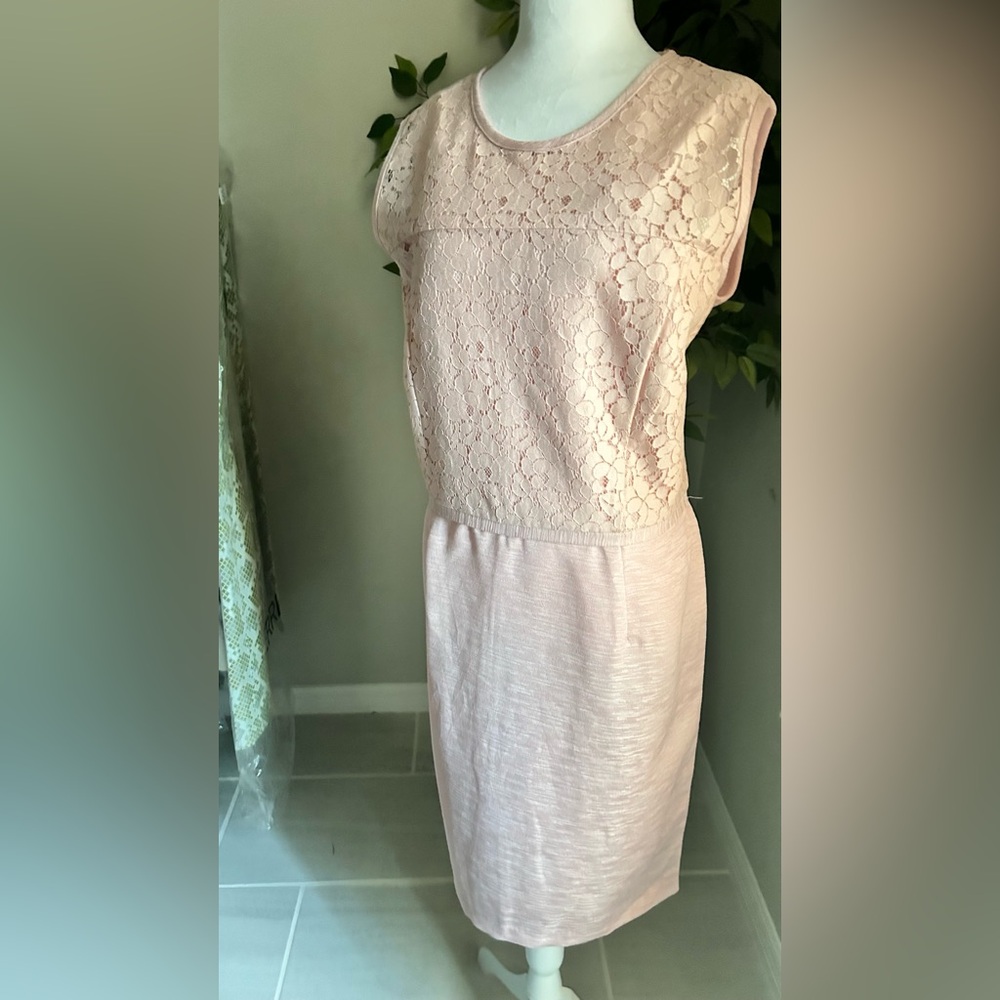 Elegant Pink Lace Dress